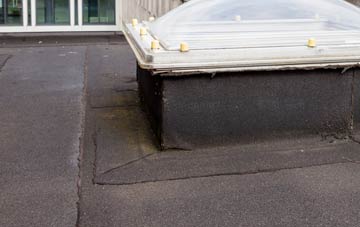 disadvantages of Tubbs Mill flat roofs