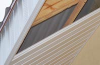 rated Tubbs Mill soffit repair companies